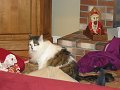 IMG_3178
