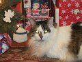 IMG_3202