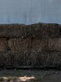 IMG_1017